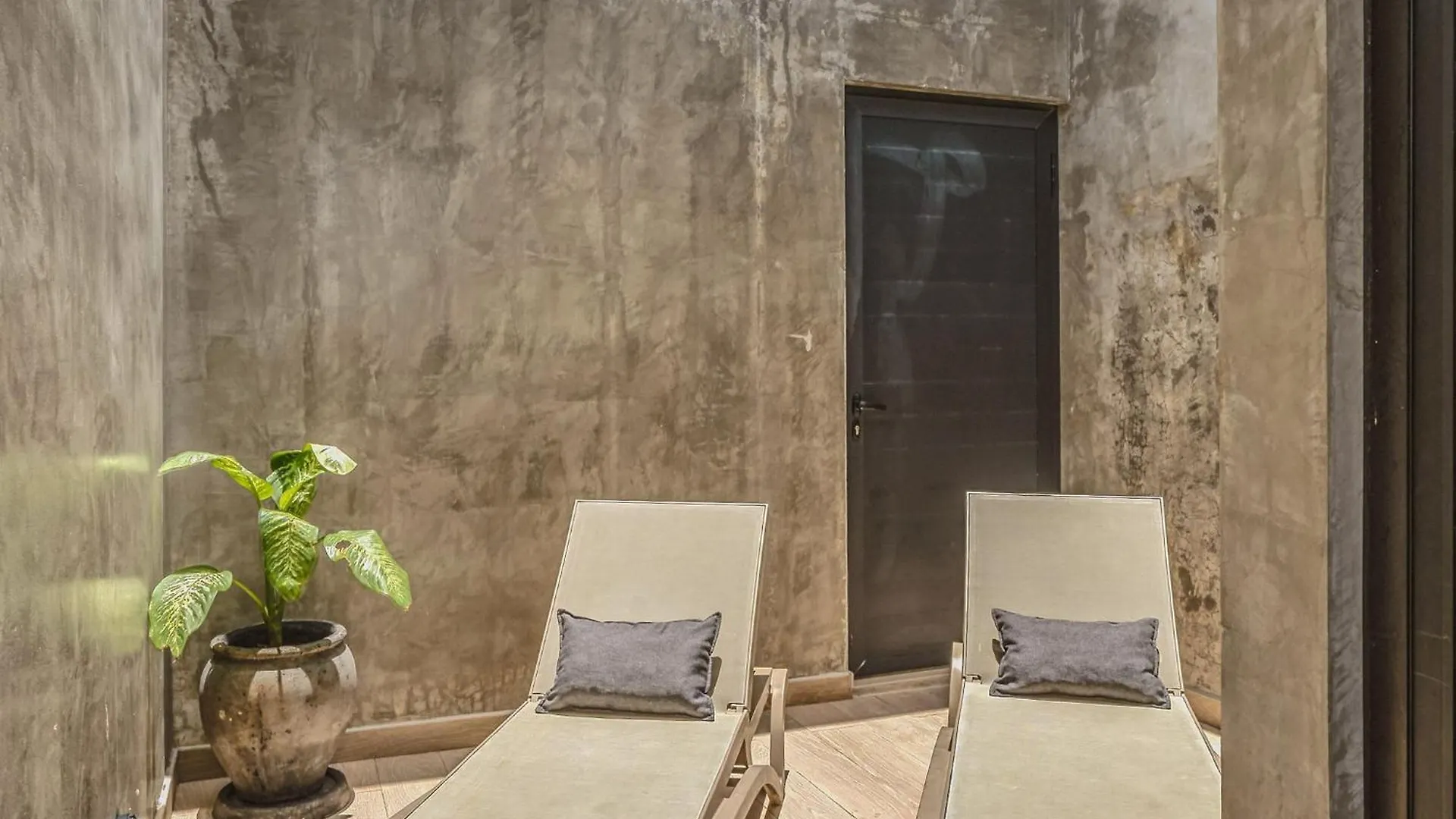 Stylish Studio Ph With Private Pool-Gym-Superstore Tulum